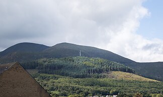 The Views