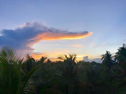Triangle Palms Siargao