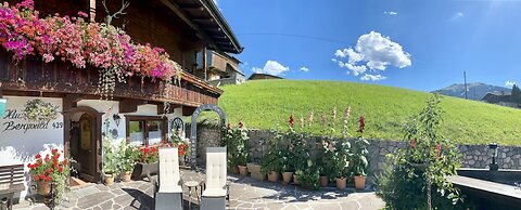Alpbach Bergwald