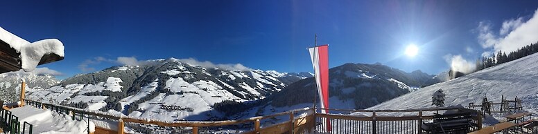 Alpbach Bergwald