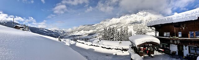 Alpbach Bergwald