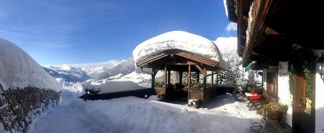 Alpbach Bergwald