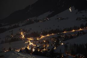 Alpbach Bergwald