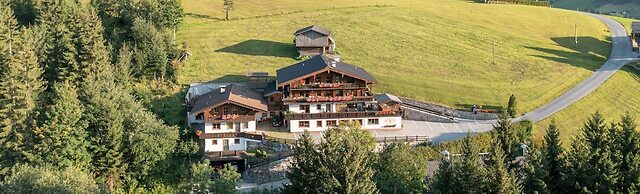 Alpbach Bergwald