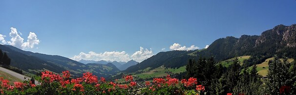 Alpbach Bergwald