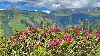 Alpbach Bergwald