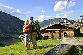 Alpbach Bergwald