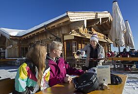 Alpbach Bergwald