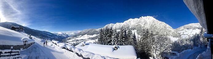 Alpbach Bergwald