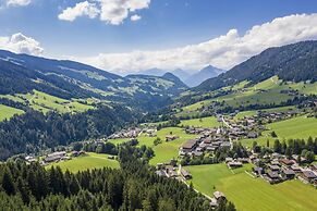 Alpbach Bergwald
