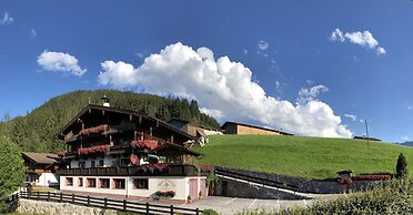 Alpbach Bergwald