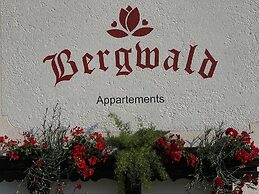 Alpbach Bergwald