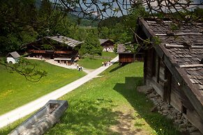 Alpbach Bergwald