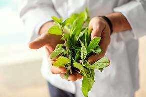 Hotel Mediterranean Resort