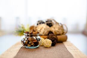 Id Stay Kawaguchiko II