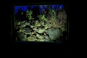 Villa Hanasaku Fujikawaguchiko B