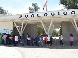 Hotel Flamingo Kristal