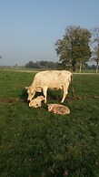 Steigmatt Bauernhof - Erlebnis