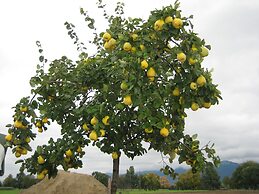 Steigmatt Bauernhof - Erlebnis