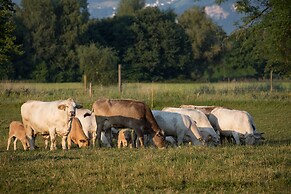 Steigmatt Bauernhof - Erlebnis