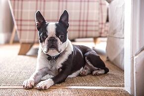 Serendipity, Aldeburgh