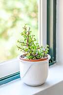 Alfama Spacious and Central Apartment, By TimeCooler