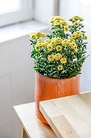 Light Filled Typical Apartment at Alfama, By TimeCooler