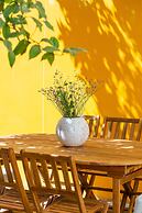 Bright & Spacious W/ Orange Tree Patio Apartment by TimeCooler