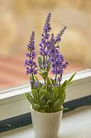 Alfama Light-Filled Apartment, By TimeCooler