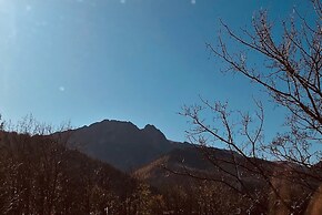 Apart-Center Pod Orlem