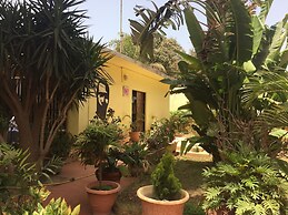 Studio in Tropical Garden