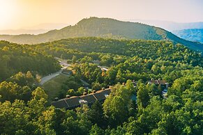 Relaxing Mountain Wynnes