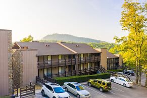 Relaxing Mountain Wynnes