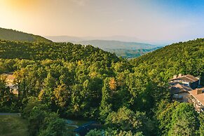 Relaxing Mountain Wynnes