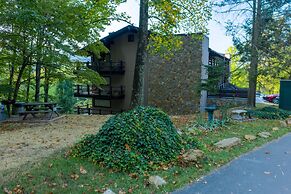 Relaxing Mountain Wynnes