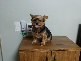 Boryeong Laon Pension