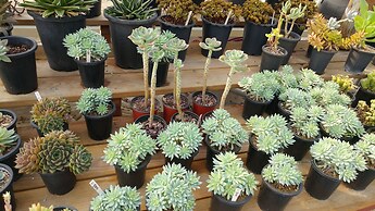 Boryeong Laon Pension