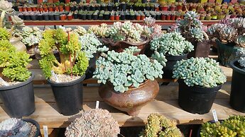 Boryeong Laon Pension