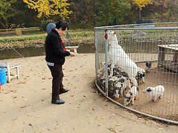 Boryeong Laon Pension
