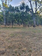 Deniliquin Pioneer Tourist Park