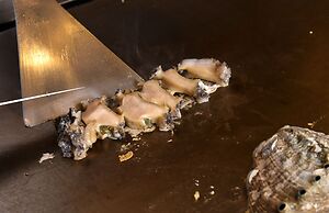 The Grand Resort Princess Arima