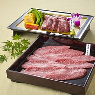 The Gran Resort Elegante Kyoto