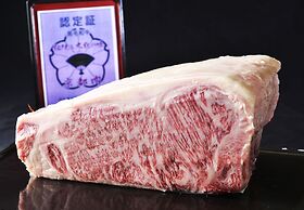 The Gran Resort Elegante Kyoto