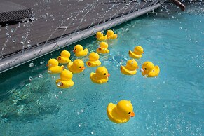 Diu Diu Dang Family Homestay