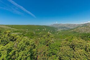 Green Hills Apartment