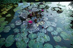 Ninh Binh Valle Montana homestay