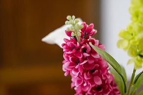 Agriturismo Il Giardino di Vigliano