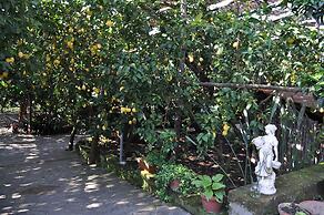 Agriturismo Il Giardino di Vigliano