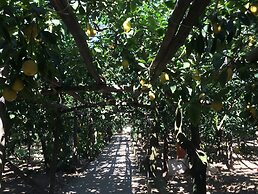 Agriturismo Il Giardino di Vigliano