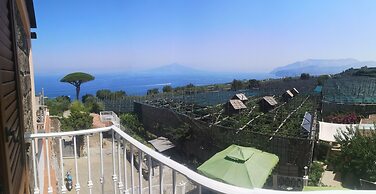 Agriturismo Il Giardino di Vigliano